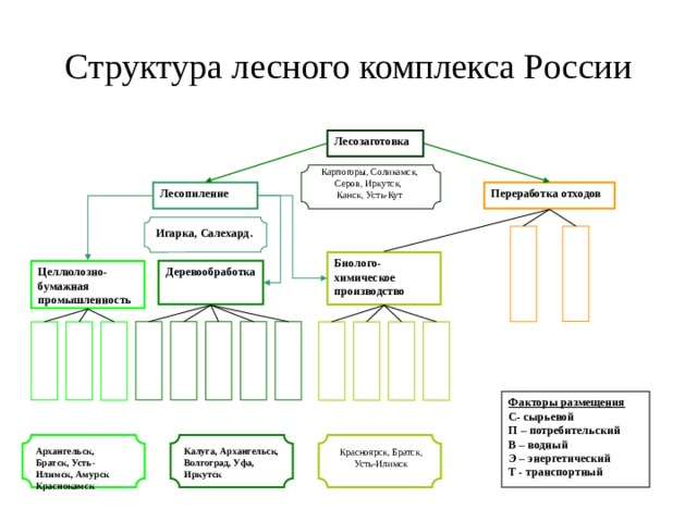 Схема лесного комплекса