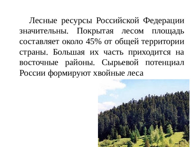   Лесные ресурсы Российской Федерации значительны. Покрытая лесом площадь составляет около 45% от общей территории страны. Большая их часть приходится на восточные районы. Сырьевой потенциал России формируют хвойные леса 