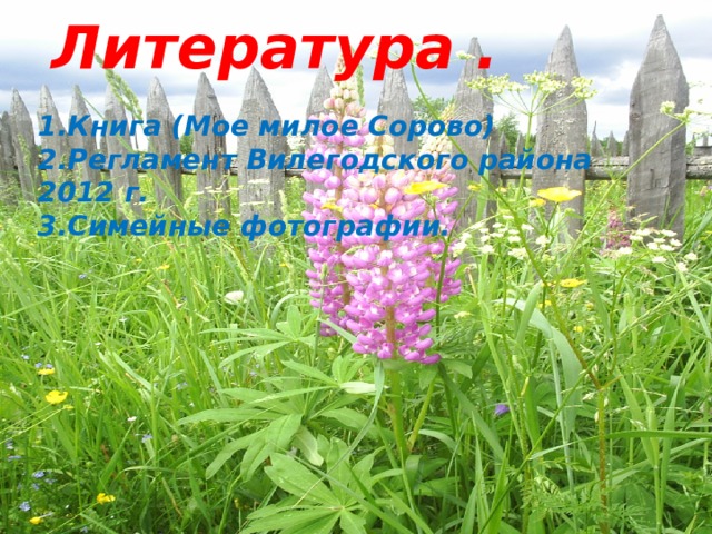 Литература . 1.Книга (Мое милое Сорово) 2.Регламент Вилегодского района 2012 г. 3.Симейные фотографии.       
