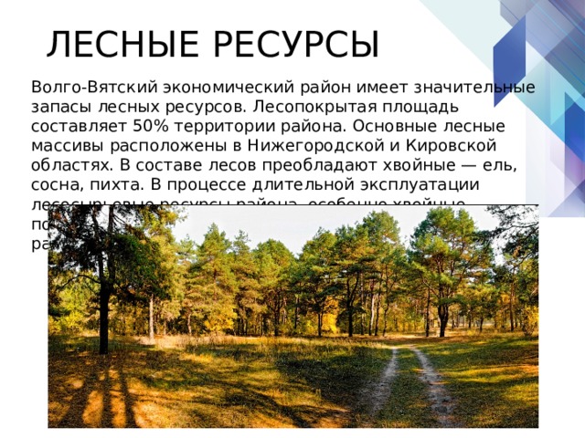 Урбанизация волго вятского. Лесные ресурсы Волго Вятского района. Леса Волго Вятского района. Волго-Вятский экономический район презентация. Природные ресурсы Волго Вятского района Лесные.