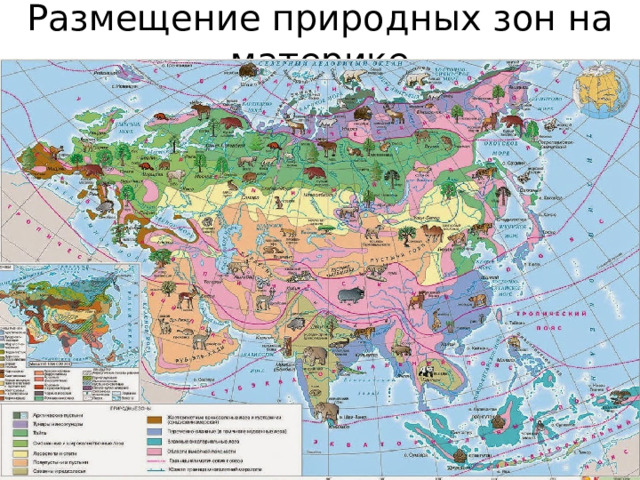 Размещение природных зон на материке 