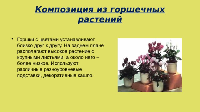 Композиция из горшечных растений     Горшки с цветами устанавливают близко друг к другу. На заднем плане располагают высокое растение с крупными листьями, а около него –более низкое. Используют различные разноуровневые подставки, декоративные кашпо. 