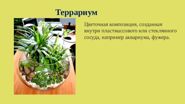 Террариум Цветочная композиция, созданная внутри пластмассового или стеклянного сосуда, например аквариума, фужера. 