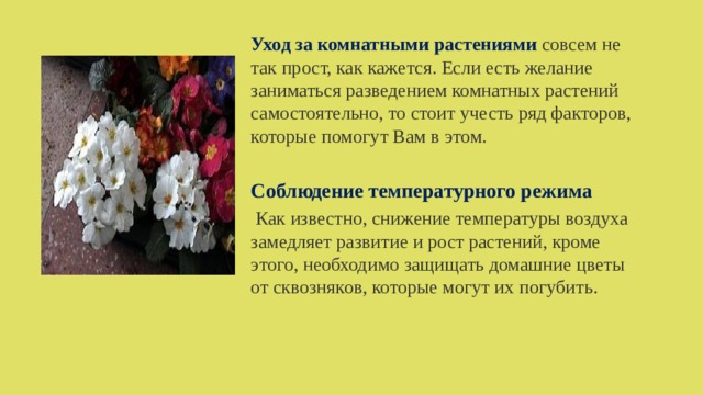 Уход за комнатными растениями совсем не так прост, как кажется. Если есть желание заниматься разведением комнатных растений самостоятельно, то стоит учесть ряд факторов, которые помогут Вам в этом. Соблюдение температурного режима  Как известно, снижение температуры воздуха замедляет развитие и рост растений, кроме этого, необходимо защищать домашние цветы от сквозняков, которые могут их погубить. 