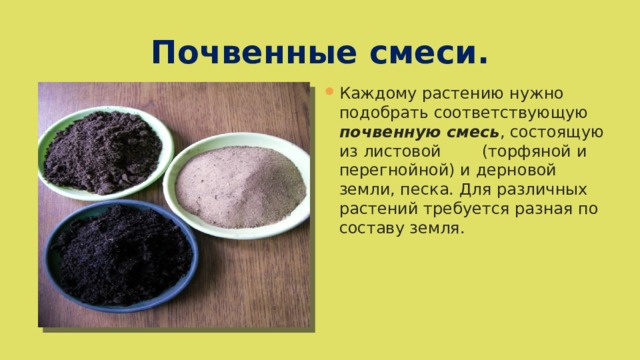 Почвенные смеси. Каждому растению нужно подобрать соответствующую почвенную смесь , состоящую из листовой (торфяной и перегнойной) и дерновой земли, песка. Для различных растений требуется разная по составу земля. 