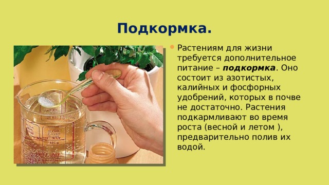 Подкормка. Растениям для жизни требуется дополнительное питание – подкормка . Оно состоит из азотистых, калийных и фосфорных удобрений, которых в почве не достаточно. Растения подкармливают во время роста (весной и летом ), предварительно полив их водой. 