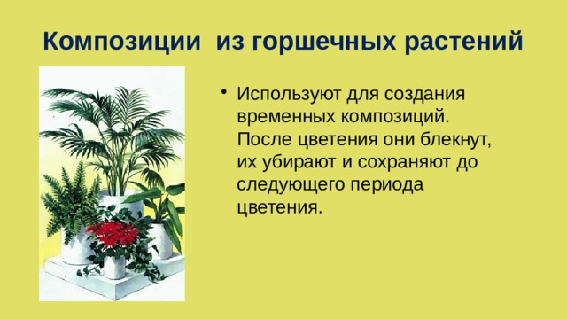 Композиции из горшечных растений Используют для создания временных композиций. После цветения они блекнут, их убирают и сохраняют до следующего периода цветения. 