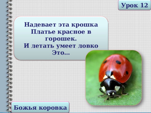 1 класс работа с пластилином презентация божья коровка