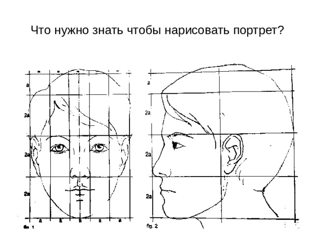 Что нужно знать чтобы нарисовать портрет? 