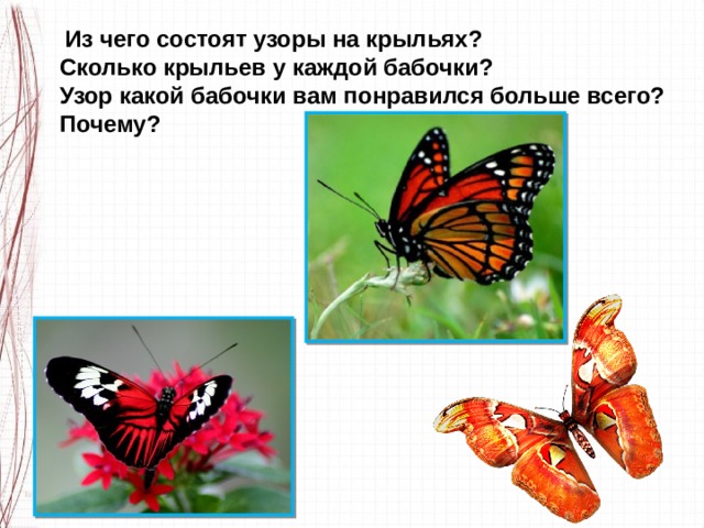   Из чего состоят узоры на крыльях?  Сколько крыльев у каждой бабочки?  Узор какой бабочки вам понравился больше всего? Почему? 