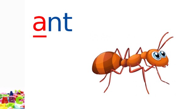 a _ nt 