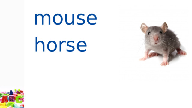mouse  horse  