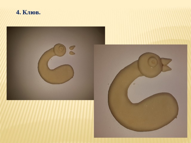 4. Клюв. 