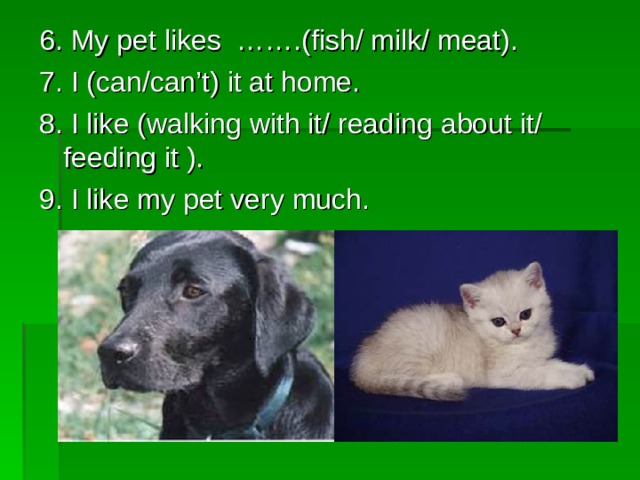 My pet likes. Why people keep Pets. Our Pets. My favourite Pet проект. Keep a Pet.