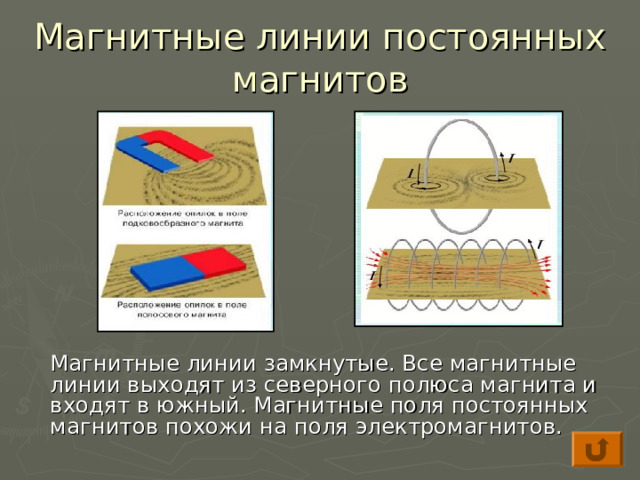 Магнитные линии постоянных магнитов  Магнитные линии замкнутые. Все магнитные линии выходят из северного полюса магнита и входят в южный. Магнитные поля постоянных магнитов похожи на поля электромагнитов. 