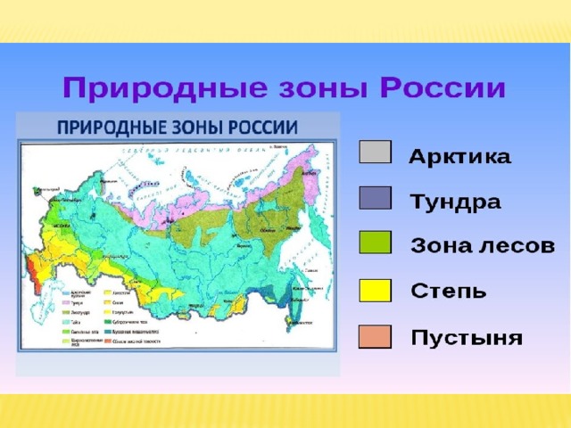 Карта природные зоны купить. Степь на карте природных зон. Природные зоны Краснодарского края. Зона степей на карте России.