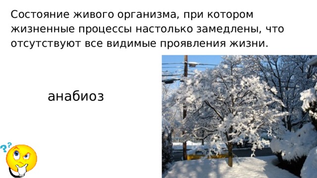 Состояние живого организма, при котором жизненные процессы настолько замедлены, что отсутствуют все видимые проявления жизни. анабиоз 