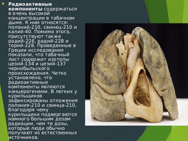 Радиоактивные компоненты содержаться в очень высокой концентрации в табачном дыме. К ним относятся: полоний-210, свинец-210 и калий-40. Помимо этого, присутствуют также радий-226, радий-228 и торий-228. Проведенные в Греции исследования показали, что табачный лист содержит изотопы цезий-134 и цезий-137 чернобыльского происхождения. Четко установлено, что радиоактивные компоненты являются канцерогенами. В легких у курильщиков зафиксированы отложения полония-210 и свинца-210, благодаря чему курильщики подвергаются намного большим дозам радиации, чем те дозы, которые люди обычно получают из естественных источников. 