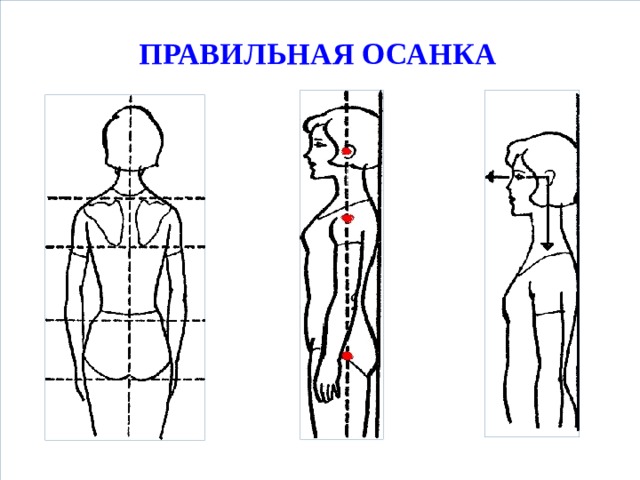 ПРАВИЛЬНАЯ ОСАНКА   