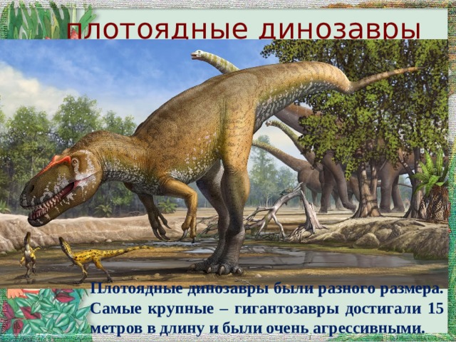 плотоядные динозавры Плотоядные динозавры были разного размера. Самые крупные – гигантозавры достигали 15 метров в длину и были очень агрессивными.  