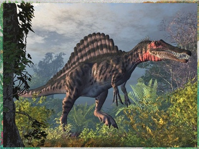Спинозавр Спинозавр был огромным животным, ловившим рыбу своими длинными челюстями. Гребень на его спине достигал до двух метров в высоту. Кожаный «парус», натянутый на отростки костей, мог отпугивать хищников, регулировать температуру тела или служить запасом пищи, как горб у верблюда.  