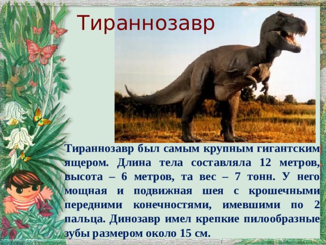 Тираннозавр Тираннозавр был самым крупным гигантским ящером. Длина тела составляла 12 метров, высота – 6 метров, та вес – 7 тонн. У него мощная и подвижная шея с крошечными передними конечностями, имевшими по 2 пальца. Динозавр имел крепкие пилообразные зубы размером около 15 см. 