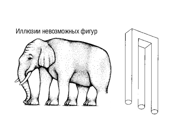 Оптические иллюзии проект по физике 10 класс