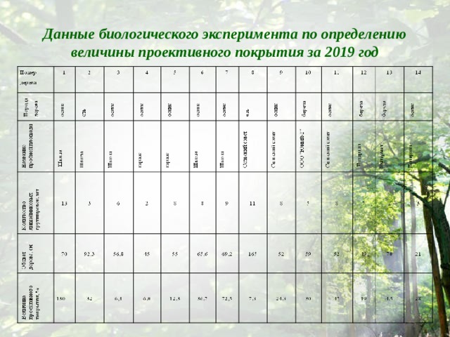 Данные биологического эксперимента по определению величины проективного покрытия за 2019 год 