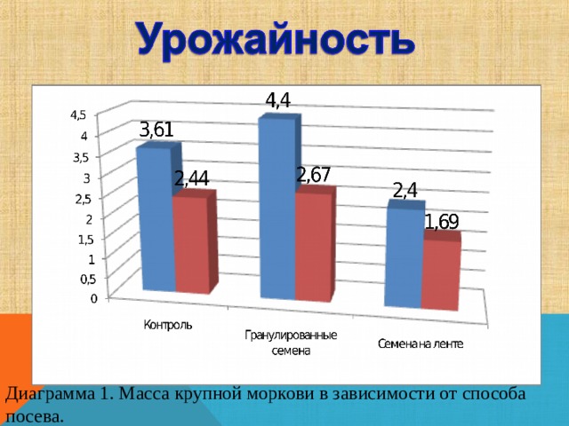 Диаграмма 1. Масса крупной моркови в зависимости от способа посева. 