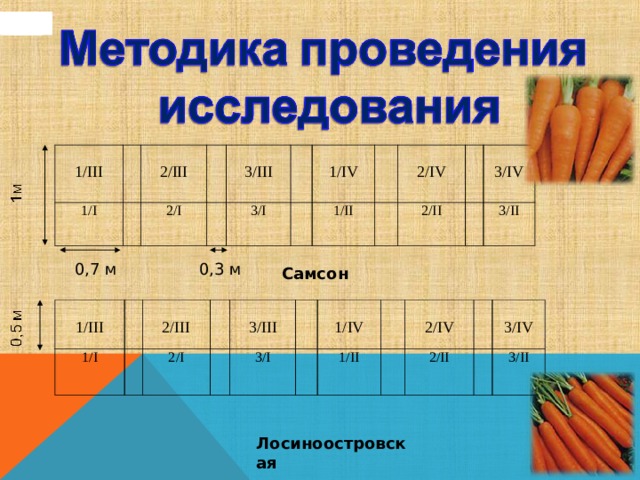 1/ III 1/ I 2/ III 2 / I 3/ III 3 / I 1/ IV 1/ II 2 / IV 2 / II 3 / IV 3 / II 0,7 м 0,3 м Самсон 1/ III 1/ I 2/ III 2 / I 3/ III 3 / I 1/ IV 1/ II 2 / IV 2 / II 3 / IV 3 / II Лосиноостровская 