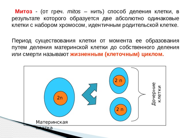 Одинаковые клетки