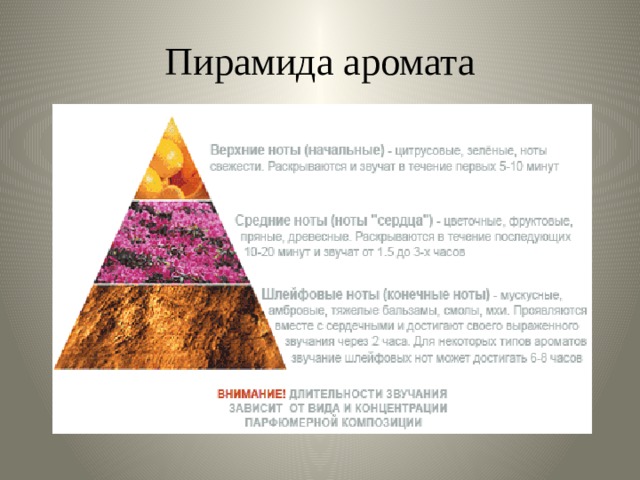 Ноты духов. Пирамида аромата. Пирамида ароматов в парфюмерии. Пирамида композиции аромата. Пирамида аромата духов.