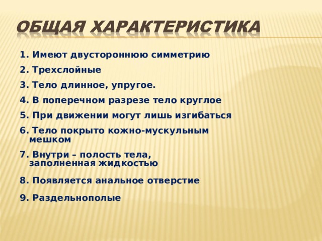 1. Имеют двустороннюю симметрию 2. Трехслойные 3. Тело длинное, упругое. 4. В поперечном разрезе тело круглое 5. При движении могут лишь изгибаться 6. Тело покрыто кожно-мускульным  мешком 7. Внутри – полость тела,  заполненная жидкостью  8. Появляется анальное отверстие  9. Раздельнополые 