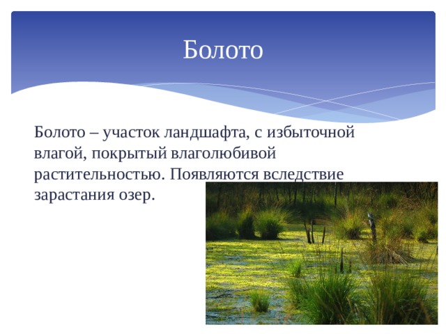 Болото Болото – участок ландшафта, с избыточной влагой, покрытый влаголюбивой растительностью. Появляются вследствие зарастания озер. 