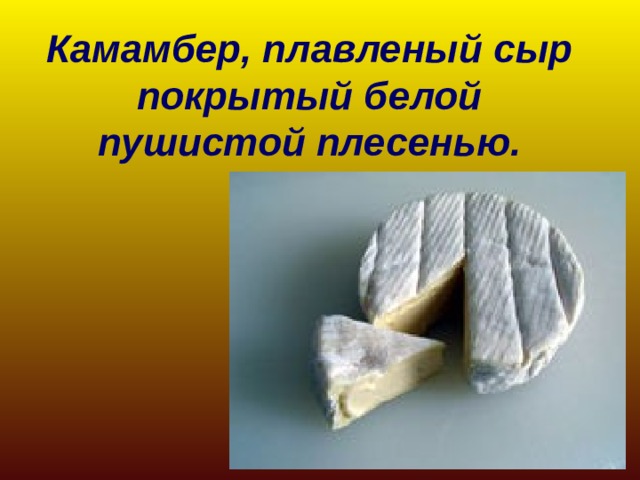 Камамбер, плавленый сыр покрытый белой пушистой плесенью . 