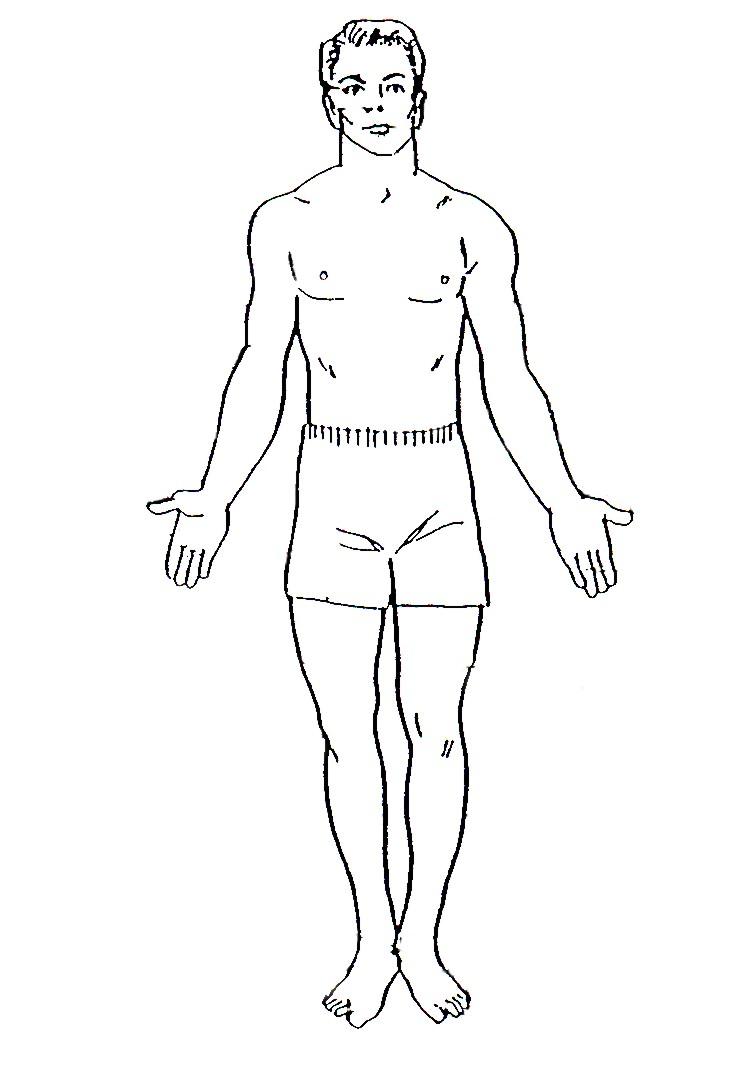 Внешняя часть человека. Туловище человека. Контур тела человека. Тело человека в полный рост. Схематичный рисунок человека в полный рост.