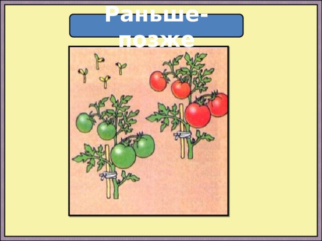 Раньше- позже  