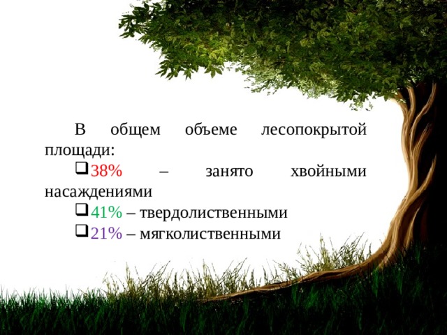 Автор: Петров Андрей Юрьевич В общем объеме лесопокрытой площади: 38% – занято хвойными насаждениями 41% – твердолиственными 21% – мягколиственными 