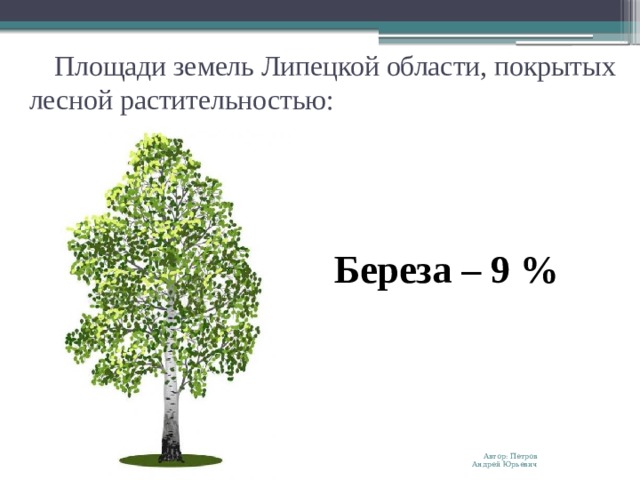 Площади земель Липецкой области, покрытых лесной растительностью: Береза – 9 % Автор: Петров Андрей Юрьевич 