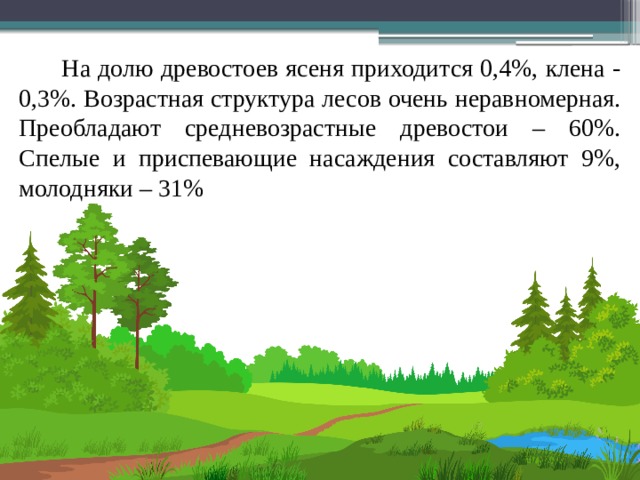 На долю древостоев ясеня приходится 0,4%, клена - 0,3%. Возрастная структура лесов очень неравномерная. Преобладают средневозрастные древостои – 60%. Спелые и приспевающие насаждения составляют 9%, молодняки – 31% Автор: Петров Андрей Юрьевич 