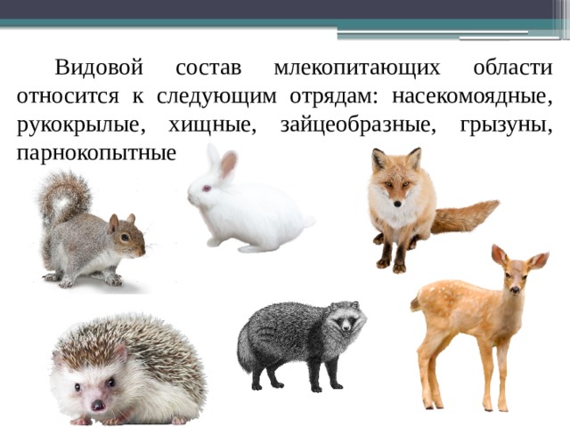 Млекопитающие состоят из