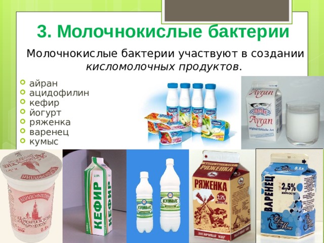 Картинки кисломолочных бактерий