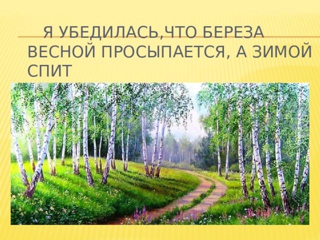 я убедилась,что береза весной просыпается, а зимой спит 