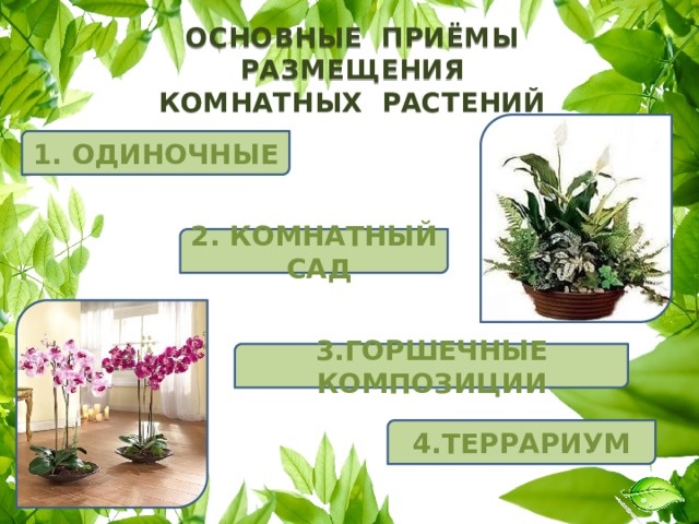 Окружающий мир 2 класс тест комнатные растения