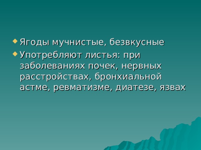 Ягоды мучнистые, безвкусные Употребляют листья: при заболеваниях почек, нервных расстройствах, бронхиальной астме, ревматизме, диатезе, язвах 