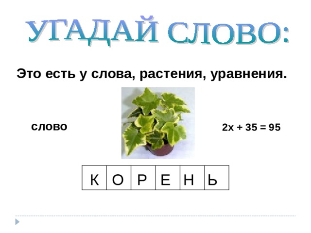 Это есть у слова, растения, уравнения. слово 2х + 35 = 95 К О Р Е Н Ь 