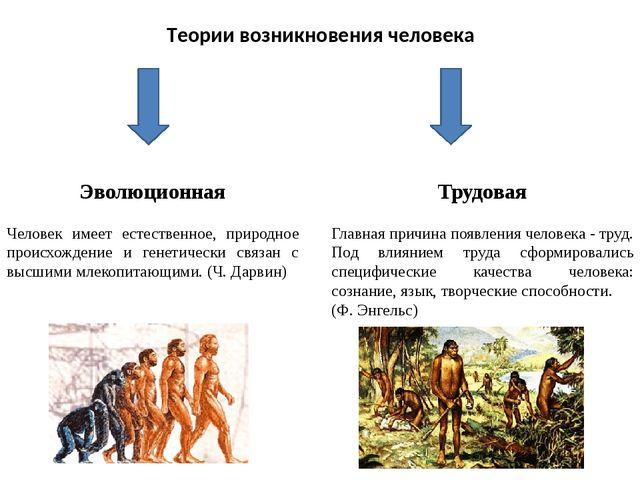 Невозможность на данный момент составить полную картину возникновения человека от диких предков