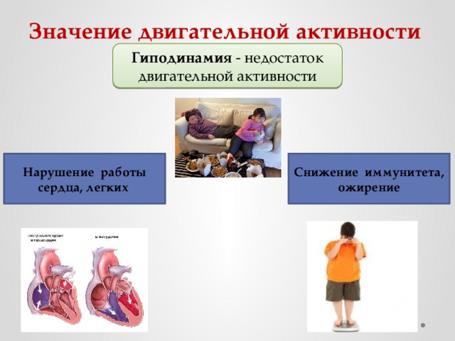 Значение двигательной активности Гиподинамия - недостаток двигательной активности Нарушение работы сердца, легких Снижение иммунитета, ожирение 