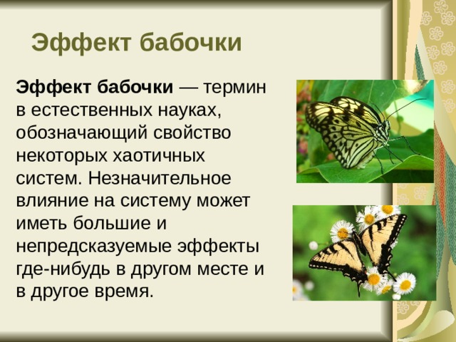Эффект бабочки проект в новосибирске