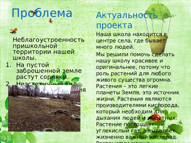 Проблема Актуальность проекта Наша школа находится в центре села, где бывает много людей. Мы решили помочь сделать нашу школу красивее и оригинальнее, потому что роль растений для любого живого существа огромна. Растения – это легкие планеты Земля, это источник жизни. Растения являются производителями кислорода, который необходим для дыхания людей и животных. Растение поглощает углекислый газ, а выделяет жизненно важный кислород. Растениями можно любоваться, они создают красоту и уют.  Неблагоустроенность пришкольной территории нашей школы. На пустой заброшенной земле растут сорняки. Неэстетичный вид территории и здания нашей школы. 